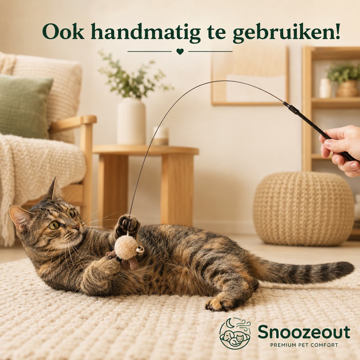Vogel Jachtspel voor Katten
